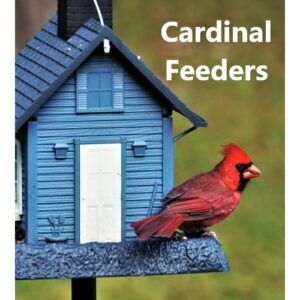 Cardinal Feeders