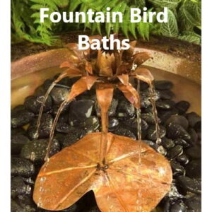 Fountain Bird Baths