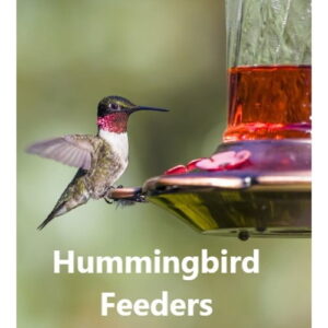 Hummingbird Feeders