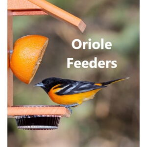 Oriole Feeders