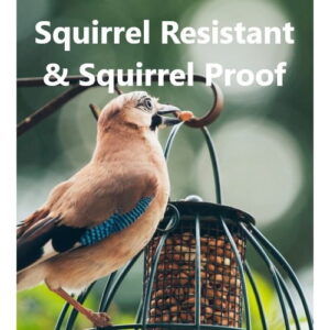Squirrel Proof Feeders