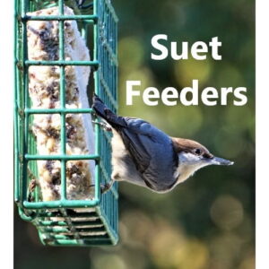 Suet Feeders