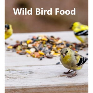 Bird Food