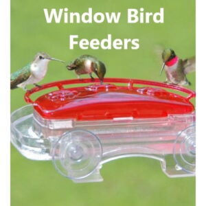 Window Feeders