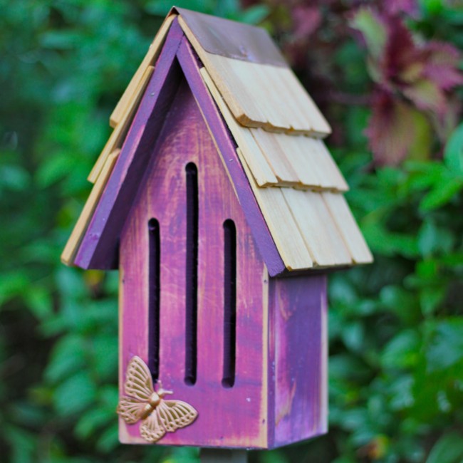 Butterfly Breeze Butterfly House & Stake - Rasin