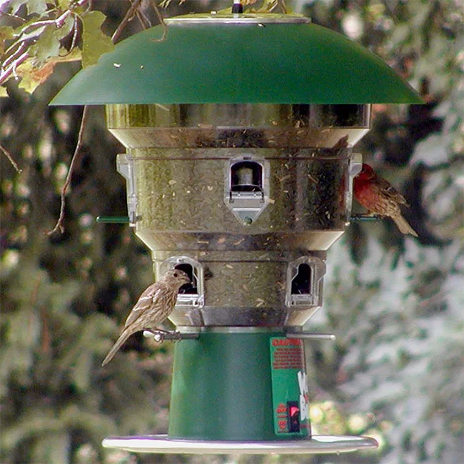 8 Port Electronic Squirrel Proof Bird Feeder