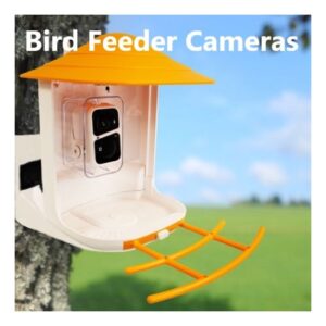 Bird Feeder Camera
