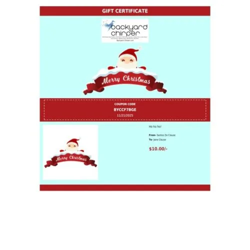 Gift Card - One Person - Santa Merry Christmas - Image 3