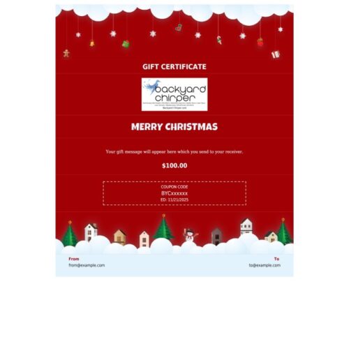 Gift Card - One Person - Merry Christmas and Ornaments - Image 4