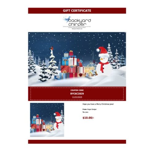 Gift Card - One Person - Nighttime Snow and Snowman - Image 3