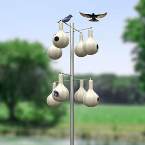 Wild Bird Lover's Single Purple Martin Gourd - Image 2