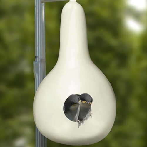 Heath Purple Martin Gourd - Image 8