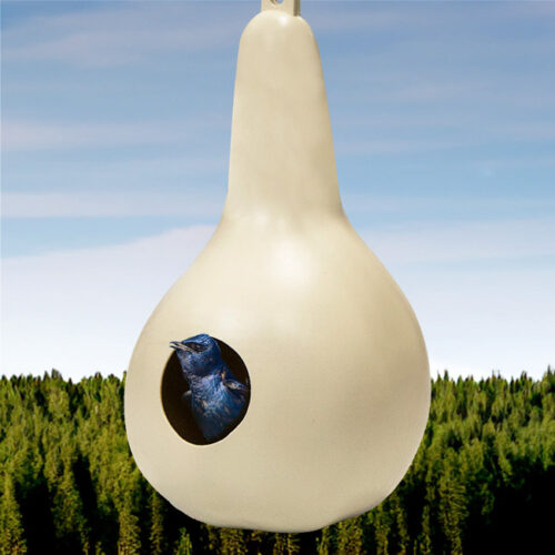 Heath Purple Martin Gourd