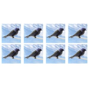 Heath Purple Martin Decoys 8 Pack