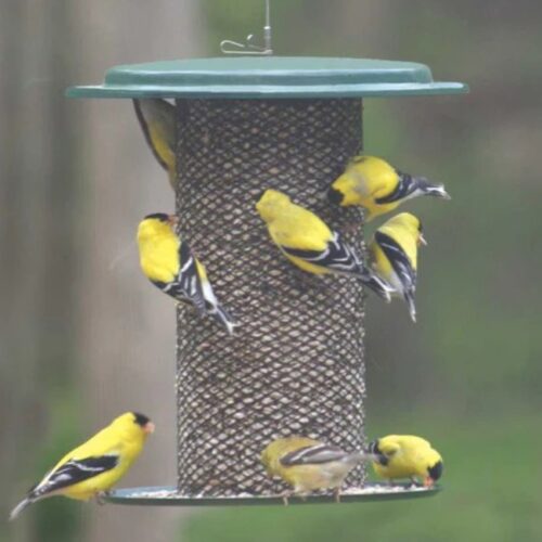 Magnet Mesh Bird Feeder for Safflower and Hulled Sunflower - 3lb capacity - Image 3