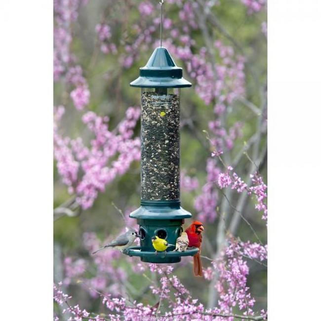 Brome Squirrel Buster Plus Squirrel-proof Bird Feeder w/Cardinal Ring