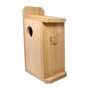 Squirrel House Condo