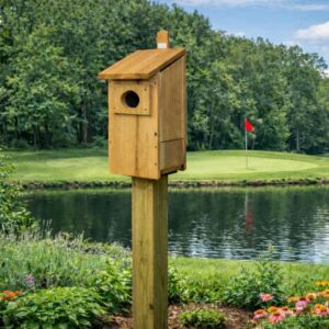 Wood Duck House