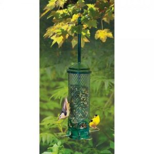 Squirrel Buster Mini Feeder