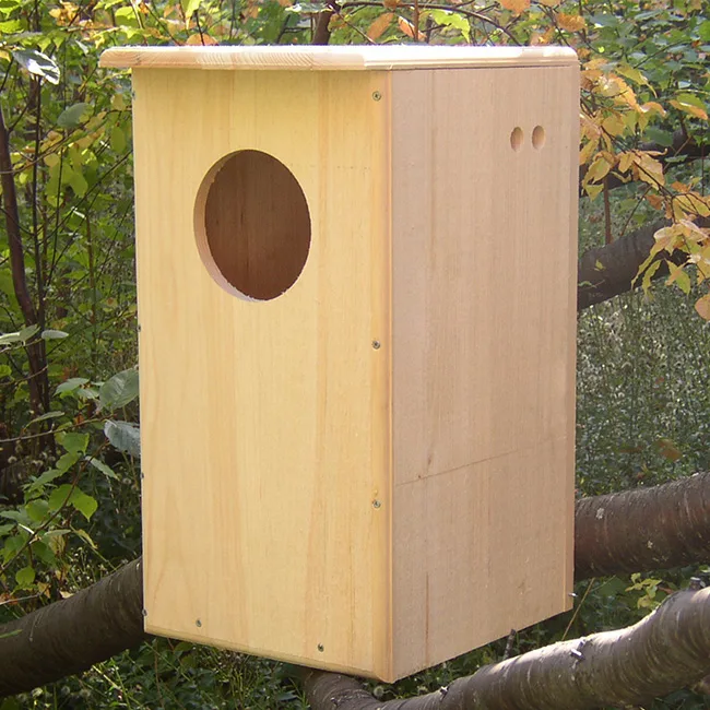 Barred Owl House