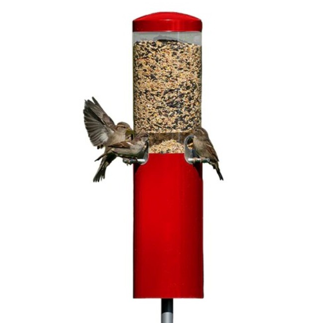 Squirrel Proof Classic Bird Feeder with Pole and Squirrel Baffle - Red
