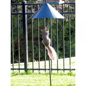 14" Squirrel Defeater Snap-On Pole Baffle