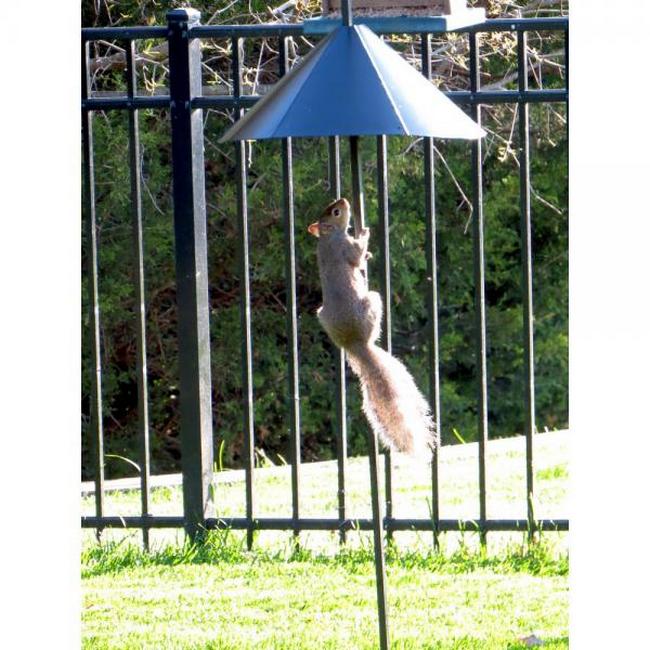 14" Squirrel Defeater Snap-On Pole Baffle